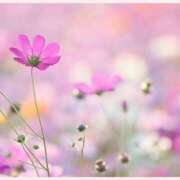 ヒメ日記 2025/10/30 12:30 投稿 はなこ 北九州熟女倶楽部　五十路