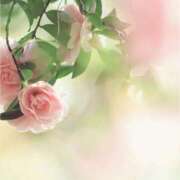 ヒメ日記 2025/11/01 14:30 投稿 はなこ 北九州熟女倶楽部　五十路