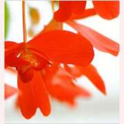 ヒメ日記 2025/11/05 13:30 投稿 はなこ 北九州熟女倶楽部　五十路