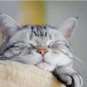 ヒメ日記 2025/11/06 00:00 投稿 はなこ 北九州熟女倶楽部　五十路