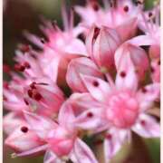 ヒメ日記 2025/11/06 14:30 投稿 はなこ 北九州熟女倶楽部　五十路