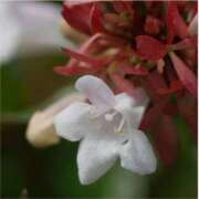 ヒメ日記 2025/11/15 14:30 投稿 はなこ 北九州熟女倶楽部　五十路