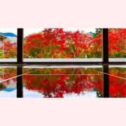 ヒメ日記 2025/11/22 14:30 投稿 はなこ 北九州熟女倶楽部　五十路