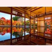 ヒメ日記 2025/11/23 12:30 投稿 はなこ 北九州熟女倶楽部　五十路