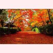 ヒメ日記 2025/11/24 13:30 投稿 はなこ 北九州熟女倶楽部　五十路