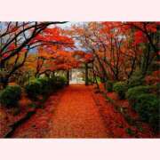 ヒメ日記 2025/11/25 14:30 投稿 はなこ 北九州熟女倶楽部　五十路