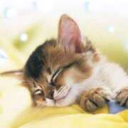 ヒメ日記 2025/12/04 00:01 投稿 はなこ 北九州熟女倶楽部　五十路