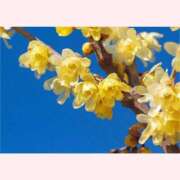 ヒメ日記 2025/12/27 14:30 投稿 はなこ 北九州熟女倶楽部　五十路