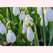 ヒメ日記 2026/01/07 14:30 投稿 はなこ 北九州熟女倶楽部　五十路