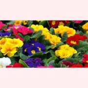 ヒメ日記 2026/01/14 14:30 投稿 はなこ 北九州熟女倶楽部　五十路