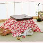 ヒメ日記 2026/01/21 11:30 投稿 はなこ 北九州熟女倶楽部　五十路