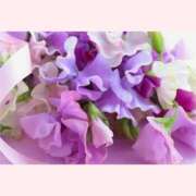 ヒメ日記 2026/02/03 12:30 投稿 はなこ 北九州熟女倶楽部　五十路