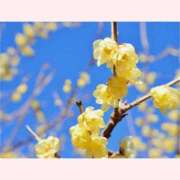 ヒメ日記 2026/02/10 12:30 投稿 はなこ 北九州熟女倶楽部　五十路