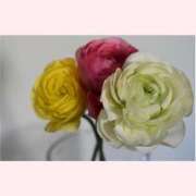 ヒメ日記 2026/02/14 14:30 投稿 はなこ 北九州熟女倶楽部　五十路