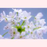 ヒメ日記 2026/02/20 14:30 投稿 はなこ 北九州熟女倶楽部　五十路