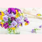 ヒメ日記 2026/02/24 14:30 投稿 はなこ 北九州熟女倶楽部　五十路