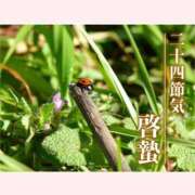 ヒメ日記 2026/03/05 12:30 投稿 はなこ 北九州熟女倶楽部　五十路