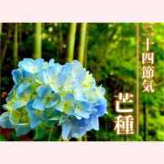 ヒメ日記 2026/06/06 14:30 投稿 はなこ 北九州熟女倶楽部　五十路