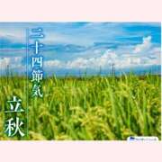 ヒメ日記 2026/08/07 14:30 投稿 はなこ 北九州熟女倶楽部　五十路
