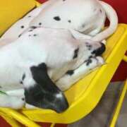 ヒメ日記 2025/05/19 20:18 投稿 みお クラブアリア -CLUB ARIA-