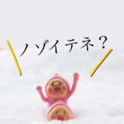 ヒメ日記 2026/02/15 12:05 投稿 りょう 尼妻（あまづま）