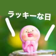 ヒメ日記 2026/02/16 09:30 投稿 りょう 尼妻（あまづま）