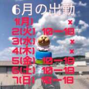ヒメ日記 2026/05/31 08:00 投稿 りょう 尼妻（あまづま）