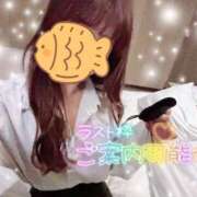 ヒメ日記 2024/12/22 17:09 投稿 REO 清楚