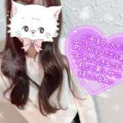 ヒメ日記 2025/01/19 09:35 投稿 REO 清楚