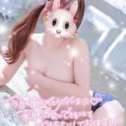 ヒメ日記 2025/02/01 08:35 投稿 REO 清楚