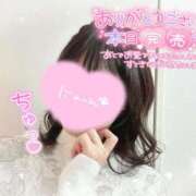 ヒメ日記 2025/02/09 14:47 投稿 REO 清楚