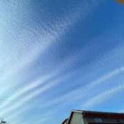 ヒメ日記 2025/02/16 09:17 投稿 REO 清楚