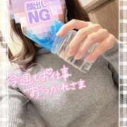 ヒメ日記 2025/02/20 14:13 投稿 REO 清楚