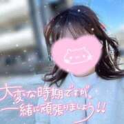 ヒメ日記 2025/02/27 09:31 投稿 REO 清楚