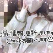 ヒメ日記 2025/03/11 13:53 投稿 REO 清楚