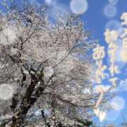 ヒメ日記 2025/04/06 10:27 投稿 REO 清楚