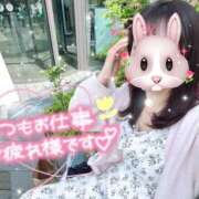 ヒメ日記 2025/05/02 13:22 投稿 REO 清楚