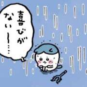 ヒメ日記 2025/05/06 16:00 投稿 REO 清楚