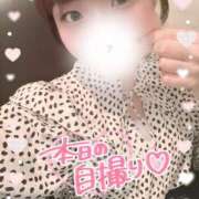 ヒメ日記 2025/06/03 12:35 投稿 REO 清楚