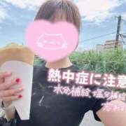 ヒメ日記 2025/06/17 11:03 投稿 REO 清楚
