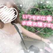 ヒメ日記 2025/06/27 15:20 投稿 REO 清楚