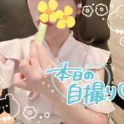 ヒメ日記 2025/07/01 13:49 投稿 REO 清楚