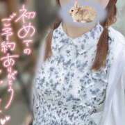 ヒメ日記 2025/07/14 14:18 投稿 REO 清楚