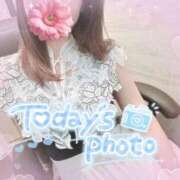 ヒメ日記 2025/07/30 12:29 投稿 REO 清楚