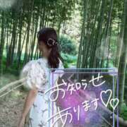 ヒメ日記 2025/08/01 18:51 投稿 REO 清楚