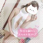 ヒメ日記 2025/08/02 09:46 投稿 REO 清楚