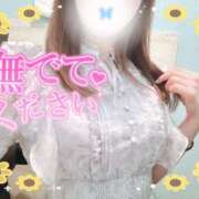 ヒメ日記 2025/08/15 13:55 投稿 REO 清楚