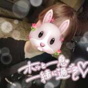 ヒメ日記 2025/08/26 19:22 投稿 REO 清楚