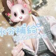 ヒメ日記 2025/09/01 08:18 投稿 REO 清楚