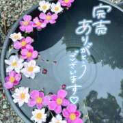 ヒメ日記 2025/09/27 08:19 投稿 REO 清楚